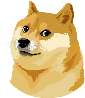 Doge Meme Portrait PNG Image