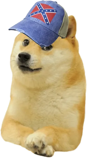 Doge_with_ Confederate_ Cap PNG Image