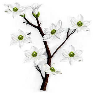 Dogwood Branches Png Tba PNG Image