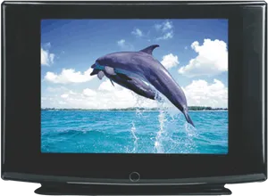 Dolphin Leap C R T Display PNG Image