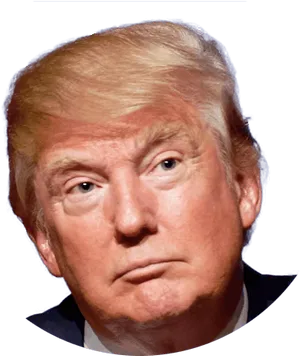 Donald Trump Portrait PNG Image