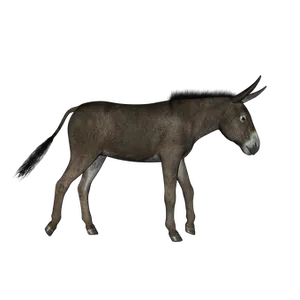 Donkeyin Darkness PNG Image