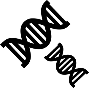 Double Helix D N A Graphic PNG Image