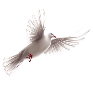 Dove Clipart C PNG Image