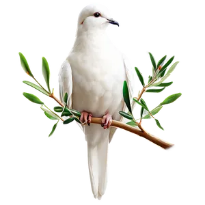 Dove With Olive Branch Clipart Png 22 PNG Image