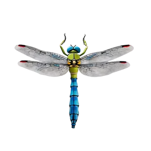Dragonfly Hovering PNG 06112024 PNG