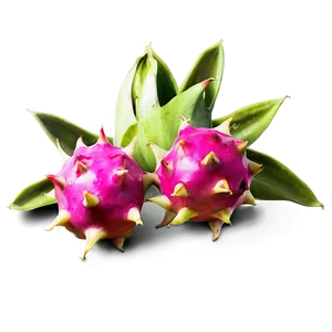 Dragonfruit Illustration Png Bix50 PNG Image