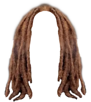 Dreadlocks_ Silhouette PNG Image