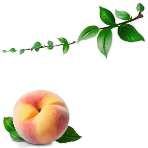 Dreamy Peach Picture Png 59 PNG Image