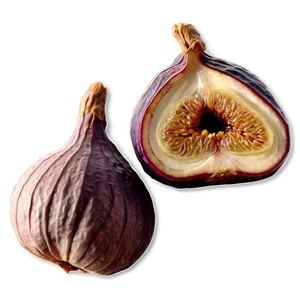 Dried Fig Graphic Png 06202024 PNG Image