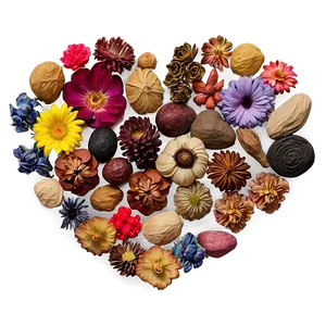 Dried Flower Potpourri Mix Png 55 PNG Image