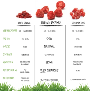 Dried Fruit Comparison Chart PNG Image