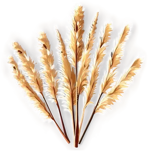 Dried Pampas Grass Png Muq43 PNG Image