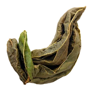 Dried Tea Leaf Png Ekv PNG Image