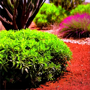 Drought Tolerant Shrubs Png Tmf53 PNG Image