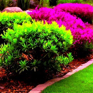 Drought Tolerant Shrubs Png Xli30 PNG Image