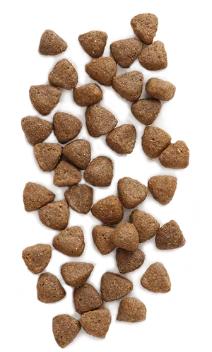 Dry Dog Food Kibble Texture PNG Image