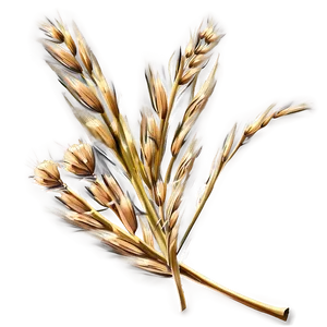 Dry Grass D PNG Image