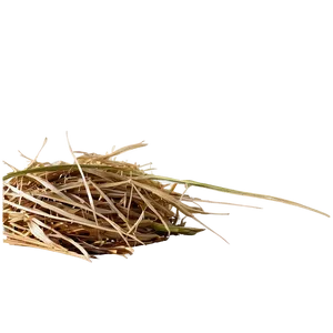 Dry Hay Texture Png Mtk84 PNG Image