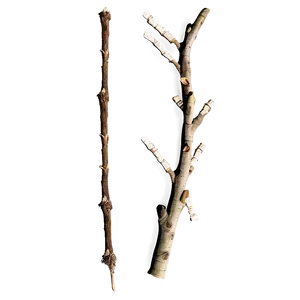 Dry Twig Png Cfu85 PNG Image