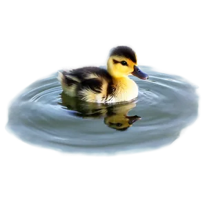 Duckling On Water Png Kcw53 PNG Image