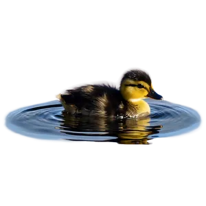 Duckling On Water Png Lew PNG Image