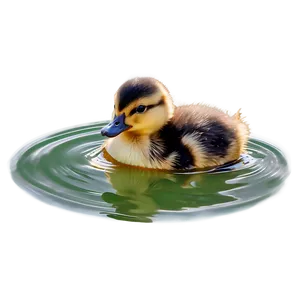 Duckling Swimming Png 06202024 PNG Image