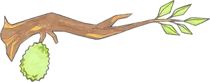 Durianon Tree Branch Illustration PNG Image