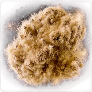 Dust Particles Texture Png Say77 PNG Image