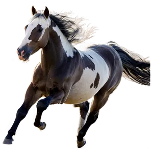 Dynamic Mustang Horse Action Png 81 PNG Image