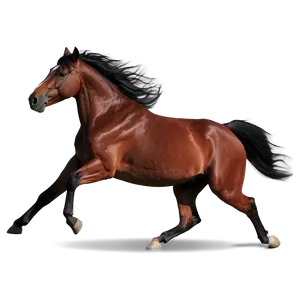 Dynamic Mustang Horse Action Png Mqk PNG Image