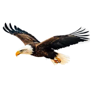 Eagle Head In Flight Png 23 PNG Image