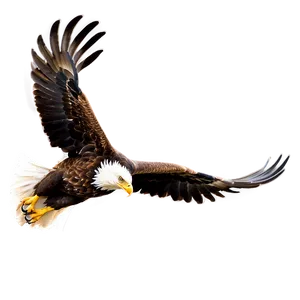 Eagle Head In Flight Png Ddb84 PNG Image