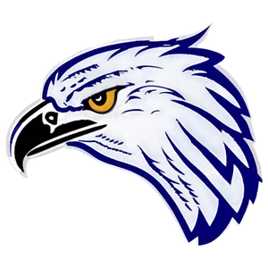 Eagle Head Outline Png Dic14 PNG Image