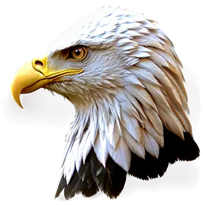 Eagle Head Profile Png 06292024 PNG Image