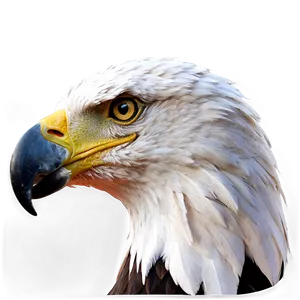 Eagle Head Profile Png 2 PNG Image