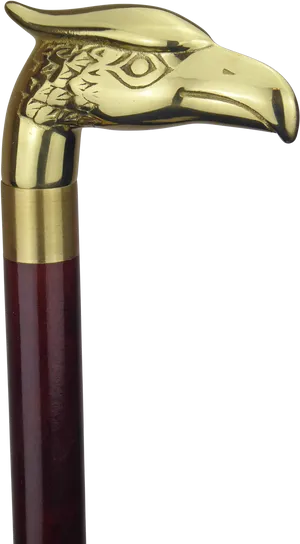 Eagle Head Walking Stick PNG Image