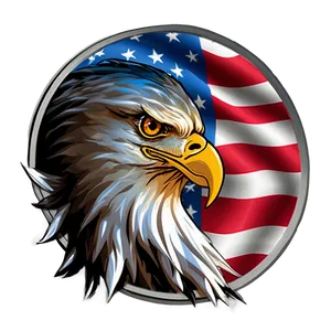 Eagle Head With Flag Background Png 94 PNG Image