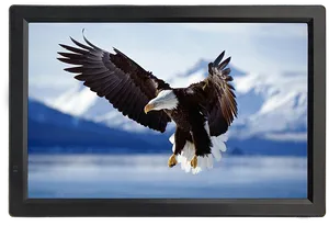 Eaglein Flight C R T Display PNG Image