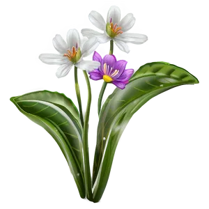 Early Spring Flower Png Ytj87 PNG Image