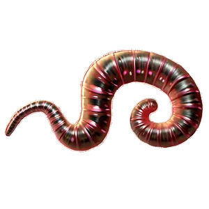 Earthworm For Kids Learning Png 51 PNG Image