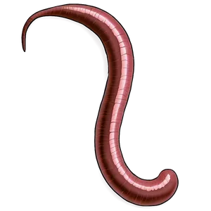 Earthworm Illustration Png 62 PNG Image