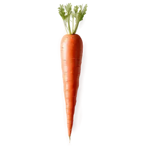 Easter Carrot Clipart Png Bdv79 PNG Image