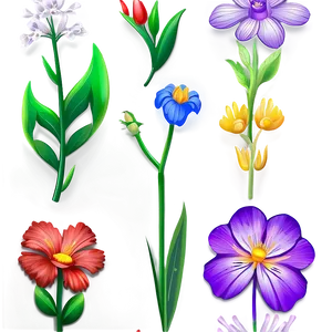 Easy Floral Illustration Png Clq PNG Image