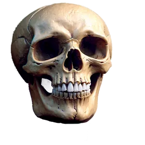 Easy-to-draw Skull Png Ppj89 PNG Image