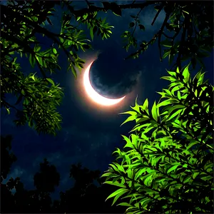 Eclipse Through Trees Png Tse PNG Image