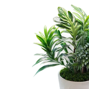 Eco-friendly Artificial Plant Png 06282024 PNG Image