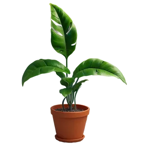 Eco-friendly Artificial Plant Png 20 PNG Image