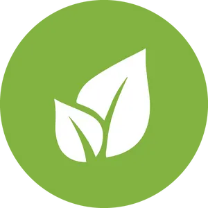 Eco Friendly Leaf Icon PNG