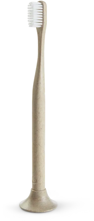 Eco Friendly Toothbrush Standing PNG Image